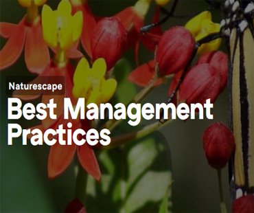 Naturescape Best Management Practices